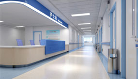 Heavy Duty Solutions: Industrial Door Manufacturers in High-Traffic Environments