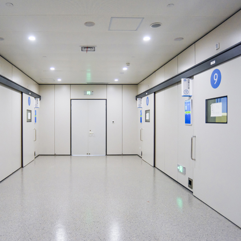 Hospital Doors